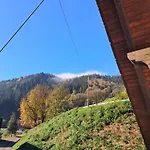Haus Maier * Oppenau