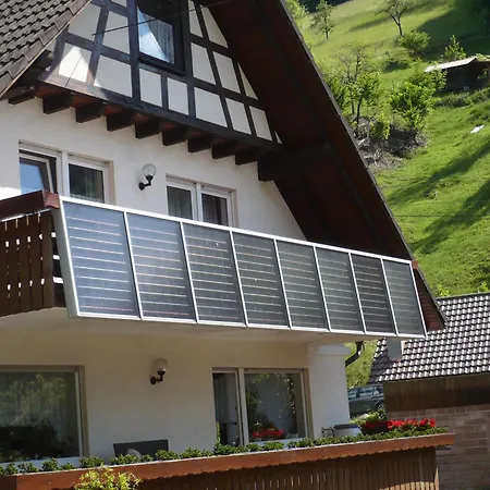 Appartamento Haus Maier Oppenau