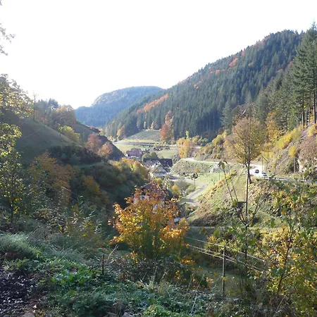 Appartamento Haus Maier Oppenau