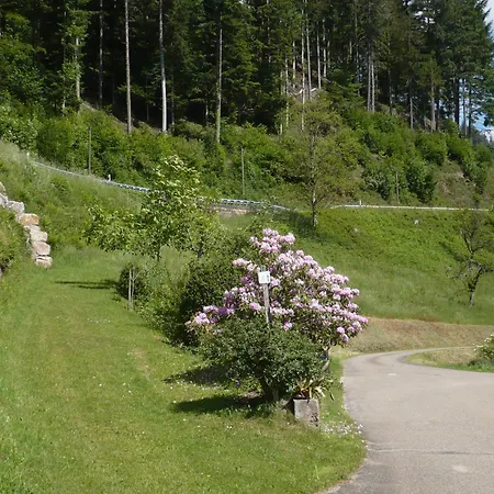 Haus Maier Lejlighed