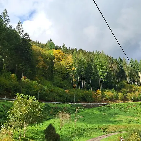 Appartamento Haus Maier *