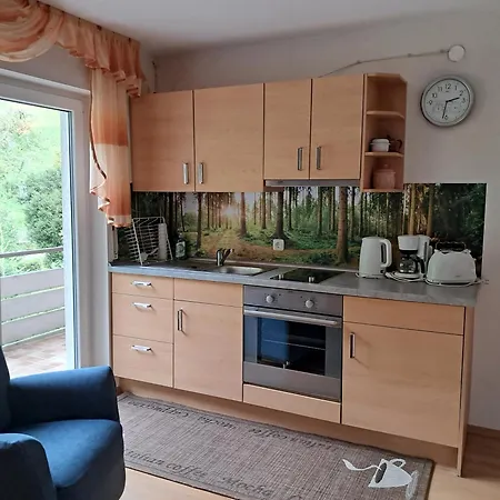 Apartamento Haus Maier Oppenau