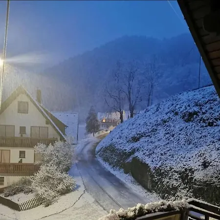 Haus Maier Apartamento Oppenau