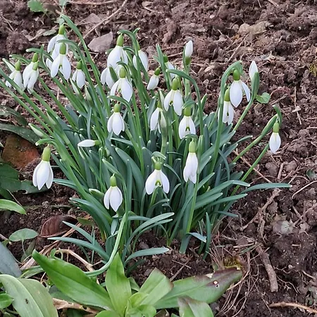 Appartamento Haus Maier *