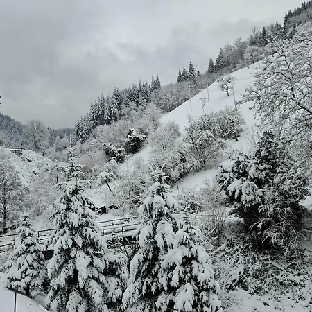 Appartamento Haus Maier Oppenau