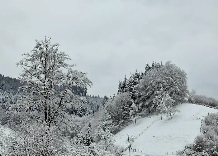 Haus Maier オッペナウ